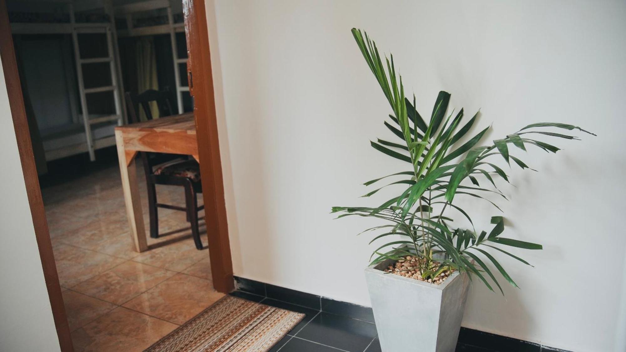Dreamy Surf House Weligama Exterior photo