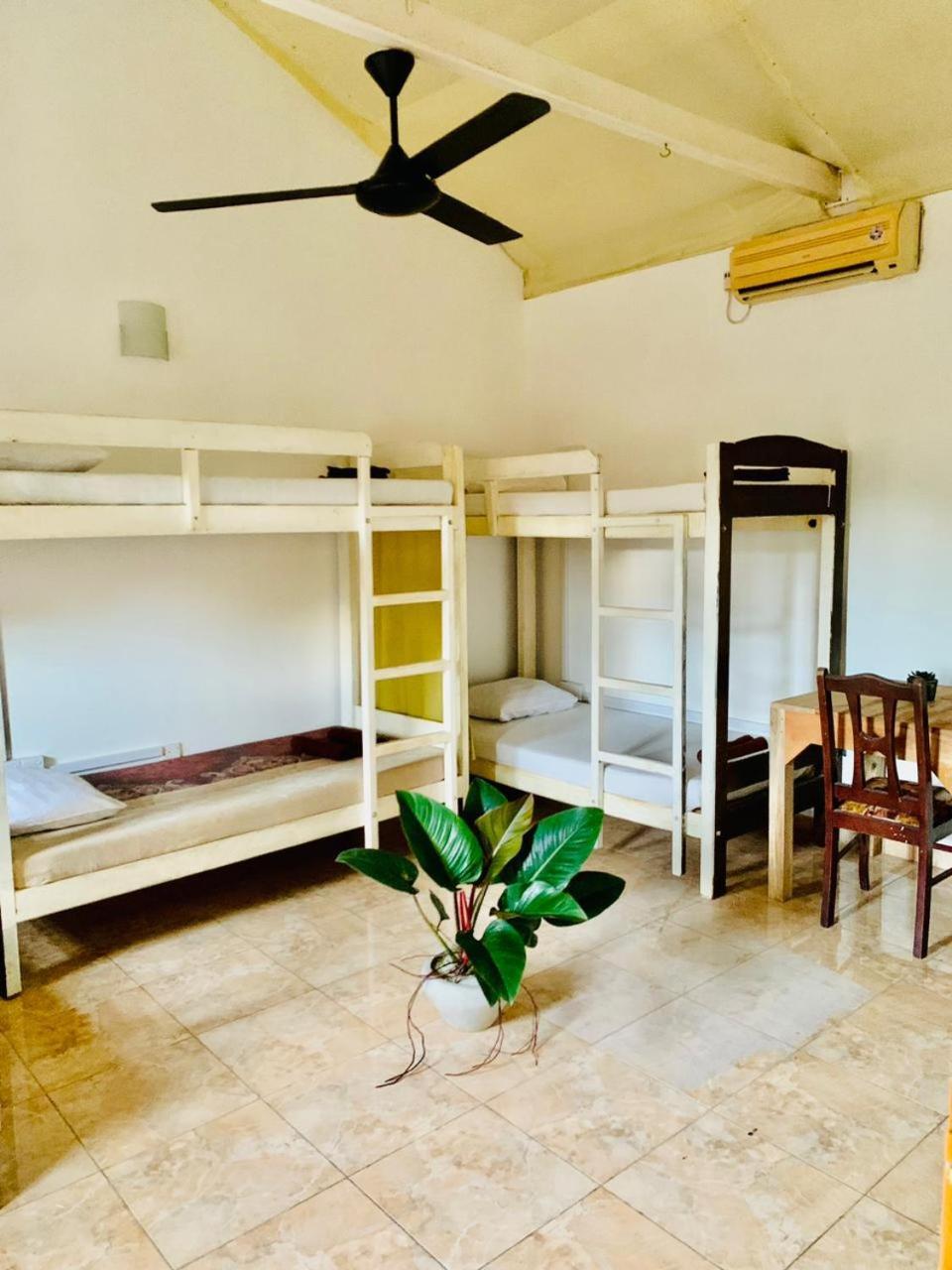 Dreamy Surf House Weligama Exterior photo